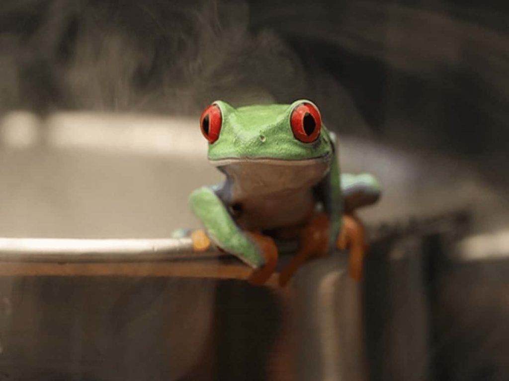 Boiling frog Image